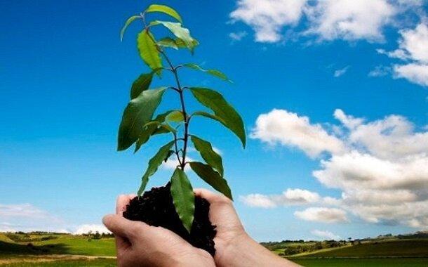 حکم جالب برای عامل تخریب منابع طبیعی اسدآباد حکم جالب برای عامل تخریب منابع طبیعی اسدآباد