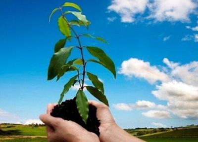 حکم جالب برای عامل تخریب منابع طبیعی اسدآباد