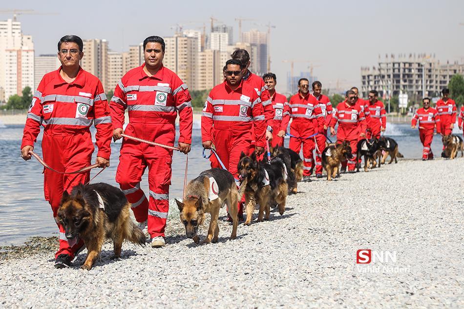 اعزام 6 تیم ارزیاب و سگ های زنده یاب هلال احمر به روستا های اطراف دماوند