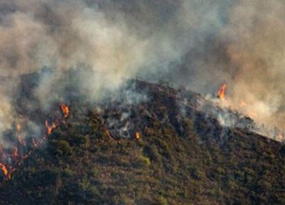 روشن کردن آتش در جنگل جرم است ، تخلفات در جنگل ها و مراتع را به 139 و 1504 گزارش دهید