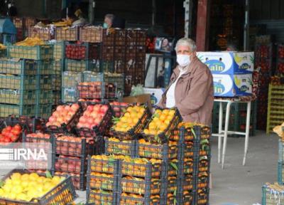 خبرنگاران میوه تنظیم بازار در استان قزوین بدون هیچ مسئله ای توزیع شد