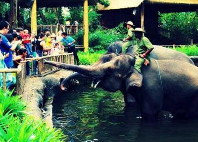 تور سنگاپور: ملاقات از باغ وحش سنگاپور