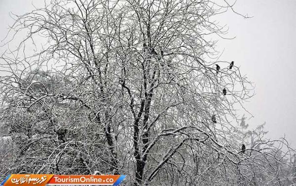بارش باران و برف در 13 استان، احتمال تاخیر در پروازها