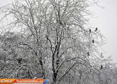 بارش باران و برف در 13 استان، احتمال تاخیر در پروازها