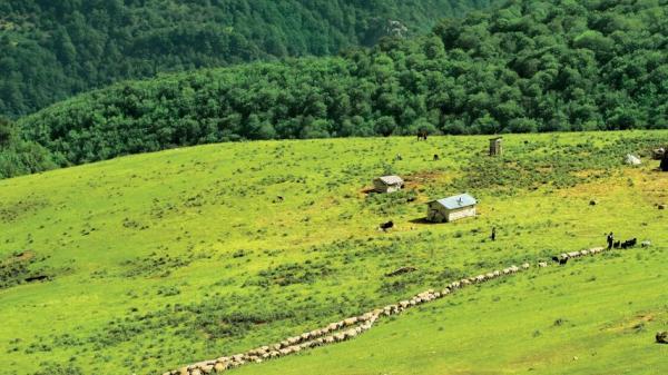 20 مسیر زیبای ترکینگ ایران