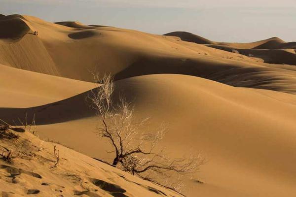 کویر مرنجاب باید ساماندهی گردد